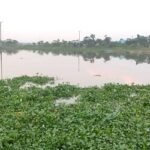 আখাউড়ার বিলের বাধ কেটে দিয়ে ক্ষতিসাধন