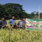 মাটিরাঙ্গাতে কৃষক প্রশিক্ষন ও বীজ বিতরণ