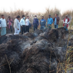 জাজিরায় দুর্বৃত্তের আগুনে কৃষকের ফসল পুড়ে ছাই