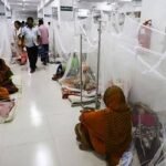 ডেঙ্গিতে আক্রান্ত আরও ২২১, মৃত্যু ১