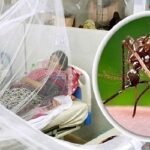 ডেঙ্গুতে মৃত্যু ১, হাসপাতালে ভর্তি ২৬৬