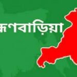 ব্রাহ্মণবাড়িয়ায় বাড়ি যার সামনের গাছ তার, কেটে সাবাড় ৪৫টি!