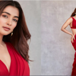 বলিউডে কাজ করে পূজার স্বস্তি