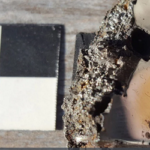 উল্কাপিণ্ড থেকে নতুন দুই খনিজের সন্ধান