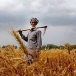 অর্থনৈতিক চাপের মধ্যেও কৃষকের ঋণ ফেরত বেড়েছে