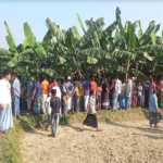 নরসিংদীতে আজও জোড়া খুন, আইনশৃঙ্খলার অবনতি 