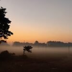 লঘুচাপের পূর্বাভাস, তাপমাত্রা নামতে পারে ৬ ডিগ্রিতে