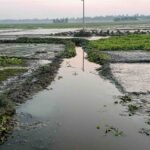 খাল ভরাটে জলাবদ্ধতা, ক্ষতির মুখে ৩০ গ্রামের কৃষক