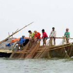 মৎস্য সম্পদ ধ্বংসকারী অবৈধ জাল অপসারণে শুরু হচ্ছে বিশেষ কম্বিং অপারেশন