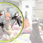 ডেঙ্গুতে কারও মৃত্যু নেই, হাসপাতালে ভর্তি ৪৯
