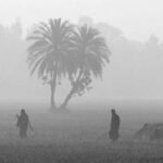 শৈত্যপ্রবাহ চলবে আরও ৩ দিন