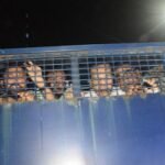 একের পর এক প্রিজনভ্যান আসছে, তোলা হচ্ছে নেতাকর্মীদের