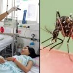 আরও ১৮ ডেঙ্গু রোগী হাসপাতালে ভর্তি