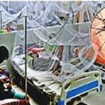 আরও ১৪ ডেঙ্গুরোগী হাসপাতালে ভর্তি