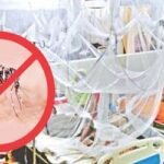 আরও ৩১ ডেঙ্গু রোগী হাসপাতালে ভর্তি