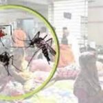ডেঙ্গুতে দুই মৃত্যু, হাসপাতালে ভর্তি ১৪