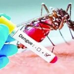 আরও ২৭ ডেঙ্গু রোগী হাসপাতালে ভর্তি