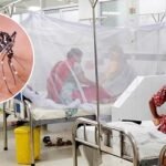 ডেঙ্গুতে আরও একজনের মৃত্যু, হাসপাতালে ভর্তি ১০