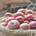 পেঁয়াজ রফতানিতে কোনো নিষেধাজ্ঞা নেই: ভারত সরকার