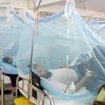 ডেঙ্গুতে আক্রান্ত হয়ে হাসপাতালে আরও ৫