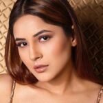 কার বিয়ের খবরে হৃদয় ভেঙেছিল শেহনাজের