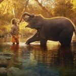 ভারতকে অস্কার এনে দিল তামিল ছবি ‘দ্য এলিফ্যান্ট হুইস্পারার্স’