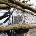 কানাডায় প্রবল তুষারঝড়, বিদ্যুৎ বিচ্ছিন্ন ১০ লাখ মানুষ