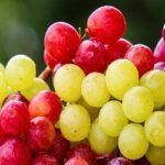 মোটা হয়ে যাবেন ভেবে আঙুর খাচ্ছেন না?