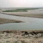 তিস্তা নিয়ে তাৎক্ষণিক কোনো প্রতিক্রিয়া পায়নি বাংলাদেশ