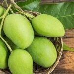 জেনে নিন কাঁচা আমের গুণ