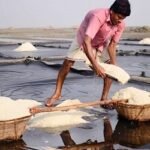 ৬২ বছরের মধ্যে সর্বোচ্চ লবণ উৎপাদন