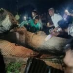 ধর্মীয় অনুষ্ঠান চলাকালে ভেঙে পড়ল পুরনো নিমগাছ, নিহত ৭