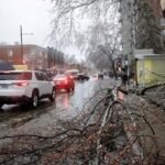 কানাডায় প্রবল ঝড়ে বিদ্যুৎ বিচ্ছিন্ন ১০ লাখেরও বেশি মানুষ