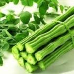 সজনে ডাঁটার পুষ্টিগুণ