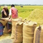 বোরো ধান-চাল সংগ্রহের দাম নির্ধারণ করল সরকার