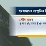 অদক্ষ কর্মী প্রেরণে প্রত্যাশিত রেমিট্যান্স আসছে না