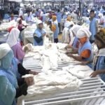 বেড়েছে পোশাক রফতানি