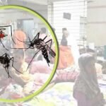 ২৪ ঘণ্টায় ১৪ ডেঙ্গু রোগী হাসপাতালে ভর্তি