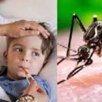 ফের চোখ রাঙাচ্ছে ডেঙ্গু, একদিনে হাসপাতালে ৮০ রোগী