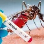 রাজধানীর পর সবচেয়ে বেশি ডেঙ্গু রোগী কক্সবাজারে