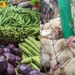 মুরগি-সবজিতে স্বস্তি, দাম চড়া দেশি মাছের