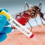 ডেঙ্গু আক্রান্ত আরও ৩৯ জন হাসপাতালে ভর্তি