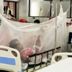 ডেঙ্গুতে আরও তিন মৃত্যু