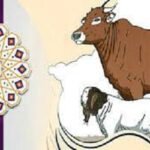 কোরবানির গোশত ও চামড়ার বিধান