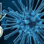 করোনায় মৃত্যুশূন্য দিনে শনাক্ত ১৫১