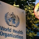 বিশ্বের অর্ধেক মানুষ ডেঙ্গুতে আক্রান্ত হতে পারে বলে সতর্কতা