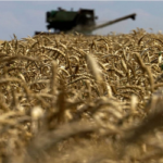 রাশিয়া-ইউক্রেন রেষারেষি : খাদ্য সঙ্কটে বিশ্ব, আসবে দুর্ভিক্ষ?