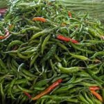 রাজধানীতে কমছে কাঁচা মরিচের দাম