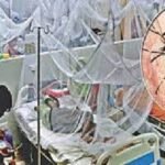 বছরের সর্বোচ্চ ৮২০ ডেঙ্গু রোগী হাসপাতালে