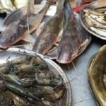 মাছের দাম ক্রেতার নাগালে নেই